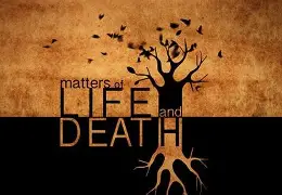 二战是谁救了中国